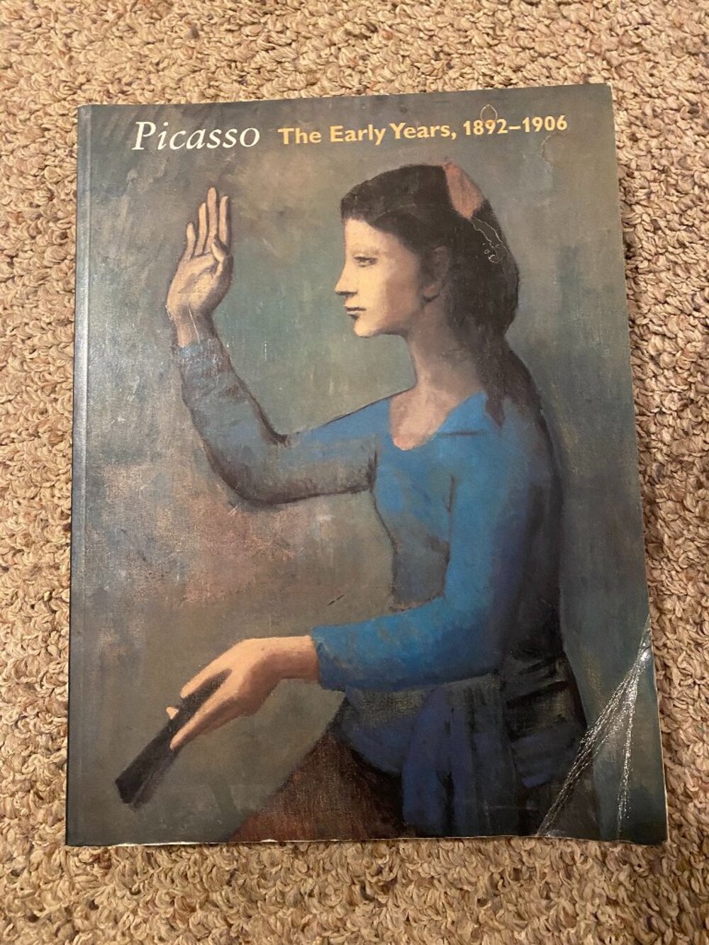 Book about Pablo Picasso's early years (softcover)
